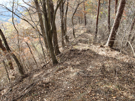 20181126hike (154)